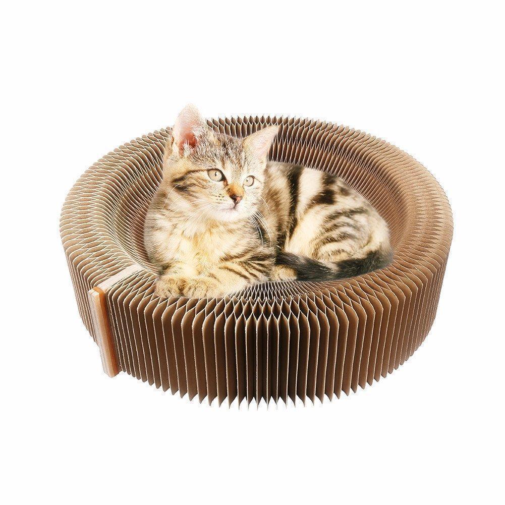 Collapsible Cat Scratcher