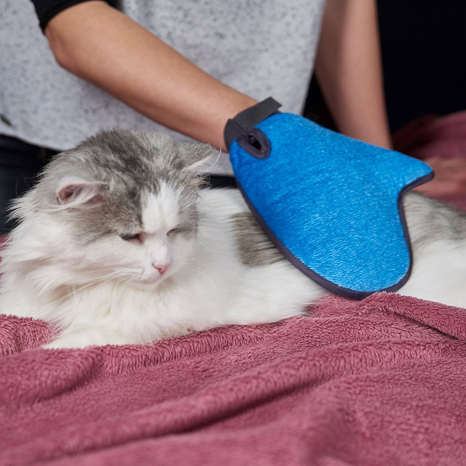 2-in-1 Pet Glove(1 Pair)