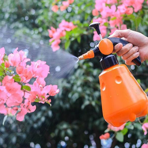 Pressure Watering Can