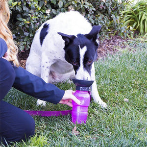 Dog Mug