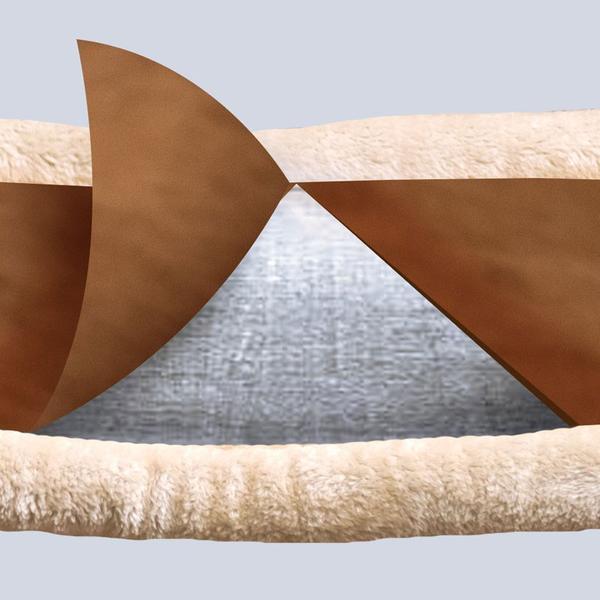 2-in-1 Pet Mat and Bed